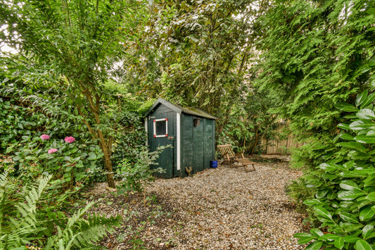 Taming the Backyard Tangle: The Ultimate Guide to Shed Organization